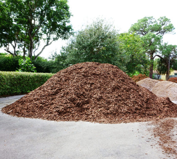 Pine bark mulch